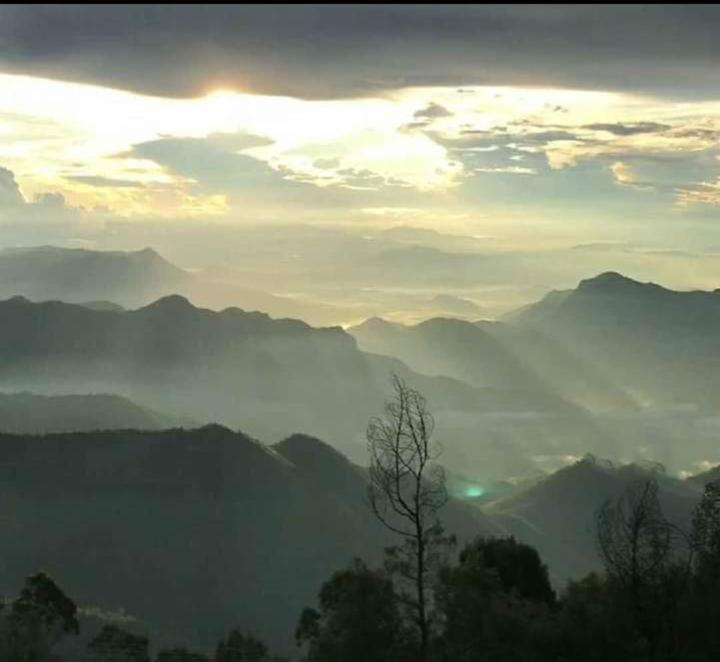Praveen'S Wood House Kodaikanal Vattakanal Eksteriør billede